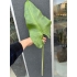 J-Line İthal Hasır Sepette Hiper-Realist Yaprak Dekoru (Handmade)