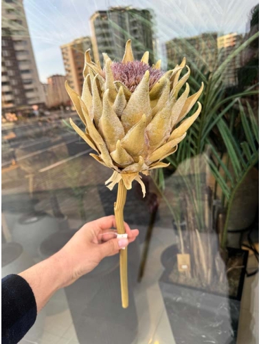 Yapay Bitki-Protea Tek Dal (Yeşil 60 cm) 