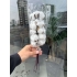 Pamuk Demeti (Cotton)10'lu