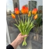 Islak Lale (Turuncu) 7li