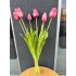 Islak Lale (Pembe) 7li