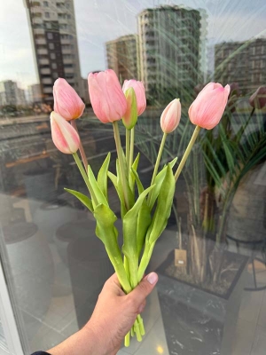 Islak Lale (Açık Pembe) 7li