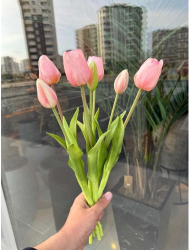 Islak Lale (Açık Pembe) 7li