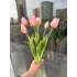 Islak Lale (Açık Pembe) 7li
