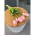 Islak Lale (Açık Pembe) 7li