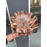 Yapay Bitki-Protea Tek Dal (Kahverengi 60 cm)