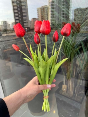 Islak Lale (Kırmızı) 7li