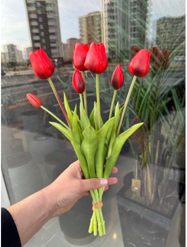 Islak Lale (Kırmızı) 7li