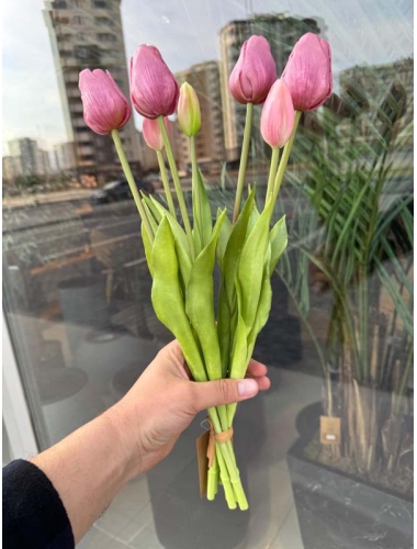 Islak Lale (Lila) 7li