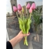 Islak Lale (Lila) 7li
