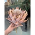 Yapay Bitki-Protea Tek Dal (Kahverengi 60 cm)