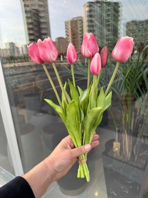 Islak Lale (Pembe) 7li