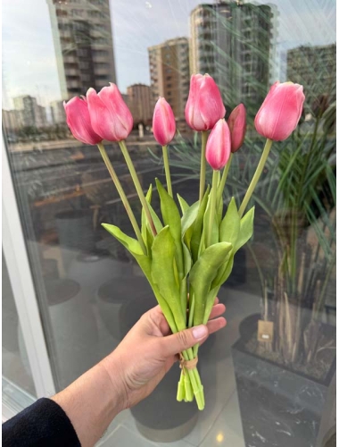 Islak Lale (Pembe) 7li