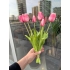 Islak Lale (Pembe) 7li